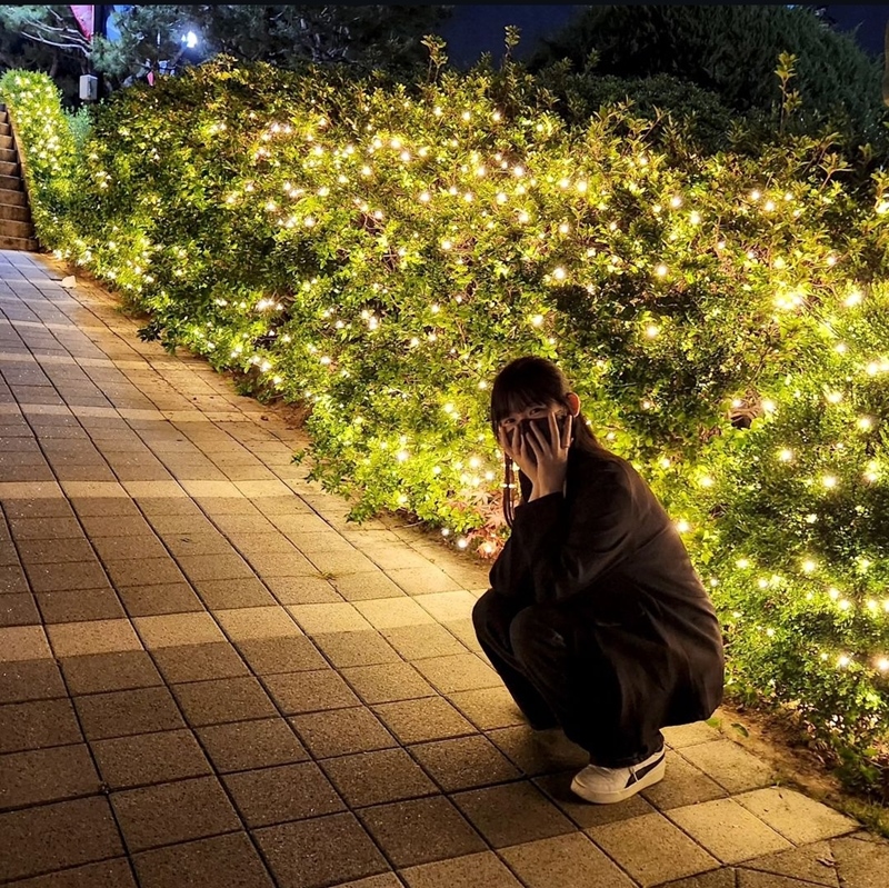 덤불에도 조명으로 장식해놓아 온 세상이 반짝거렸다.