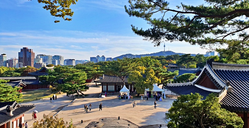 아름다운 창경궁 전경. 2024 한복문화주간 부스도 보인다