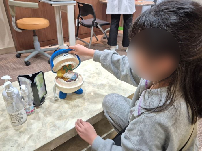 보건소 구강보건센터 내 치아 모형 구경.