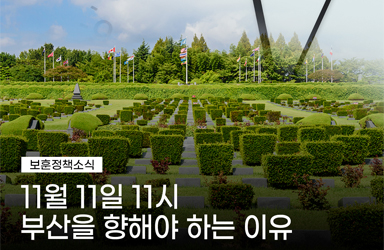 11월 11일 11시 부산을 향해야 하는 이유