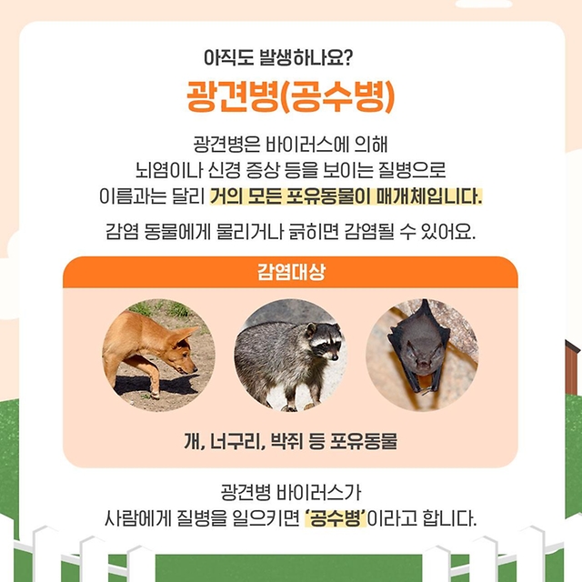 다함께 알아보는 야생동물 질병 상식
