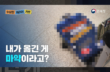 인천공항 속 '수상한 캐리어 카트'