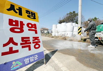 전남 영암 한우농장 구제역 확인…최 권한대행 "초동방역 만전" 지시