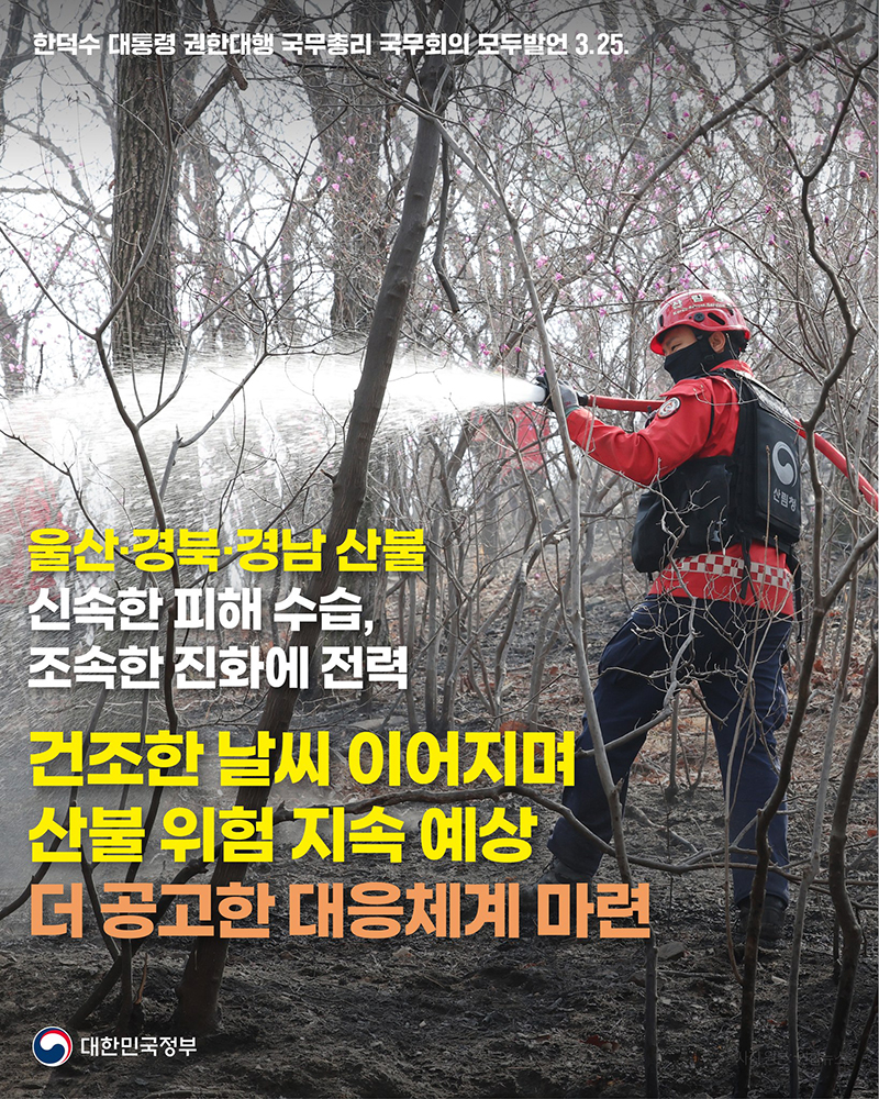 울산 경북 경남 산불 신속한 피해 수습, 조속한 진화에 전력 하단내용 참조