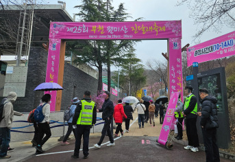 부천 원미산 진달래축제