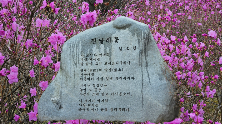 김소월 시비