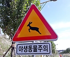 (저작권자(c) 연합뉴스, 무단 전재-재배포 금지)
