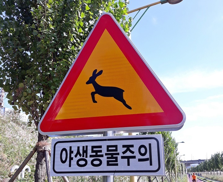 (저작권자(c) 연합뉴스, 무단 전재-재배포 금지)