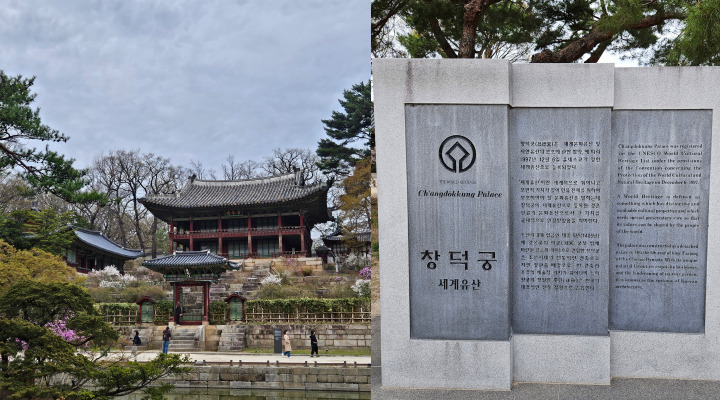 연경당으로 향하는 길목에는 부용지, 주합루, 규장각 등 창덕궁의 역사와 미학이 고스란히 스며 있다.