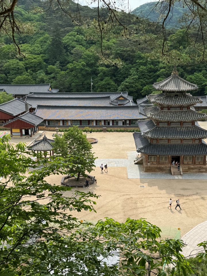 산에서 내려다본 법주사 사진