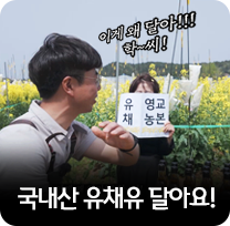  국내산 유채유 달아요!