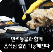 반려동물과 함께  음식점 출입 가능해진다
