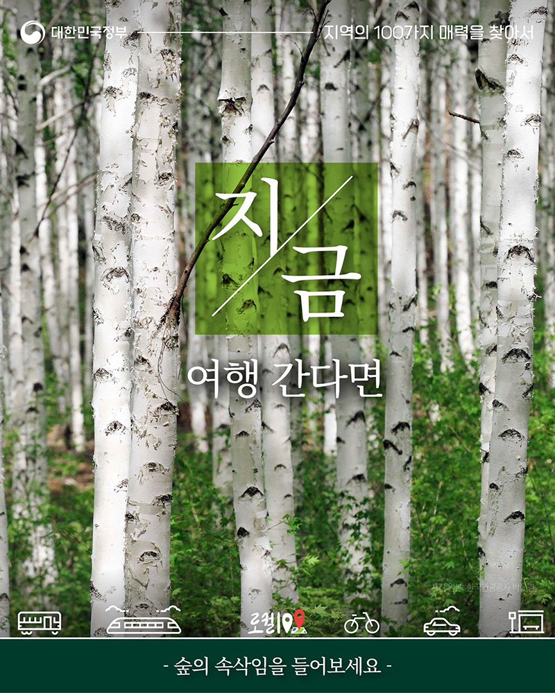 숲의 속삭임을 들어보세요! 하단내용 참조