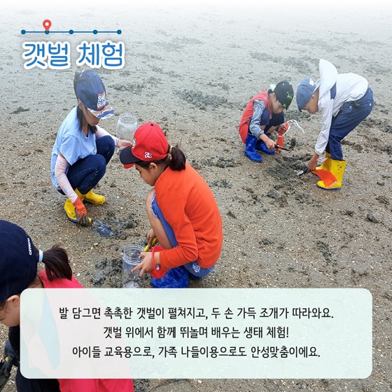 5월에 가기 좋은 어촌 안심 여행지 ① 전남 함평 돌머리마을