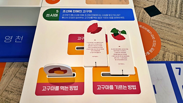 통신사가 전해준 고구마. 외교뿐만 아니라 식생활에도 영향을 미쳤다.