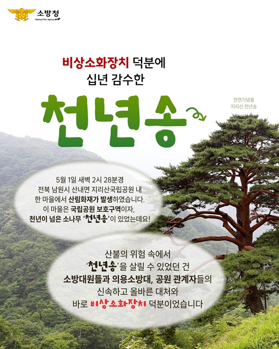 비상소화장치 덕분에 십년 감수한 천년송
