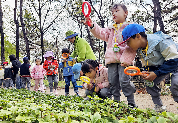 광주 북구 문흥동 문화근린공원 유아숲체험원에서 열린 숲체험 프로그램에 참가한 북구청어린이집 아이들이 생태체험 활동하고 있다. 2025.4.15 (ⓒ뉴스1, 무단 전재-재배포 금지)
