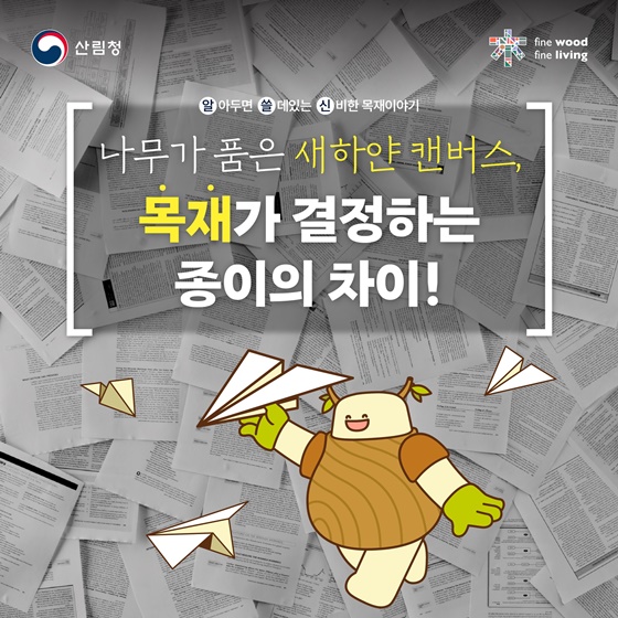 나무가 품은 하얀 캔버스의 비밀, 목재가 결정하는 종이의 차이!