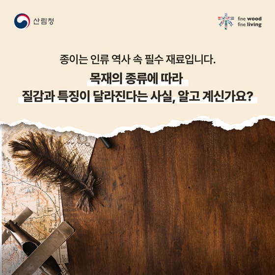 나무가 품은 하얀 캔버스의 비밀, 목재가 결정하는 종이의 차이!