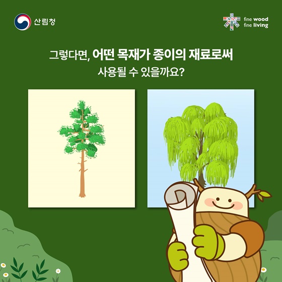 나무가 품은 하얀 캔버스의 비밀, 목재가 결정하는 종이의 차이!