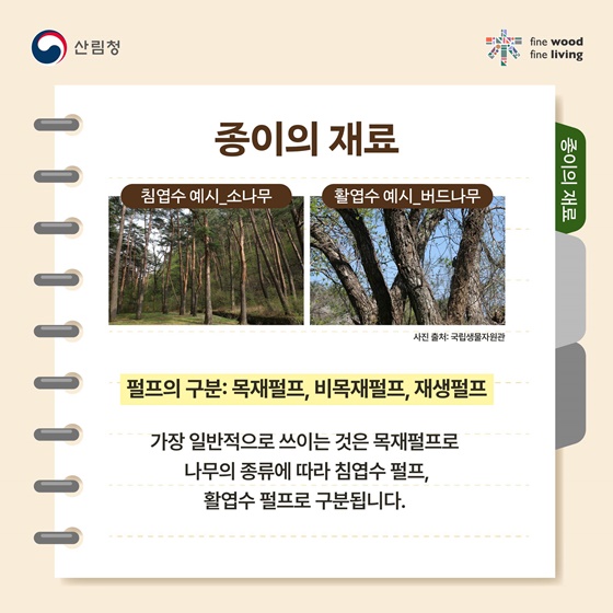 나무가 품은 하얀 캔버스의 비밀, 목재가 결정하는 종이의 차이!
