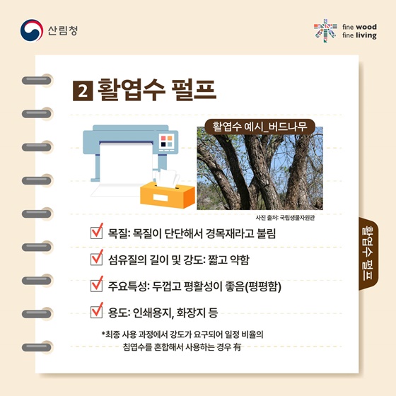 나무가 품은 하얀 캔버스의 비밀, 목재가 결정하는 종이의 차이!