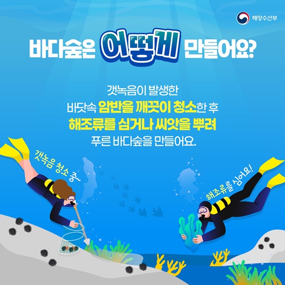 매년 5월 10일은 바다식목일