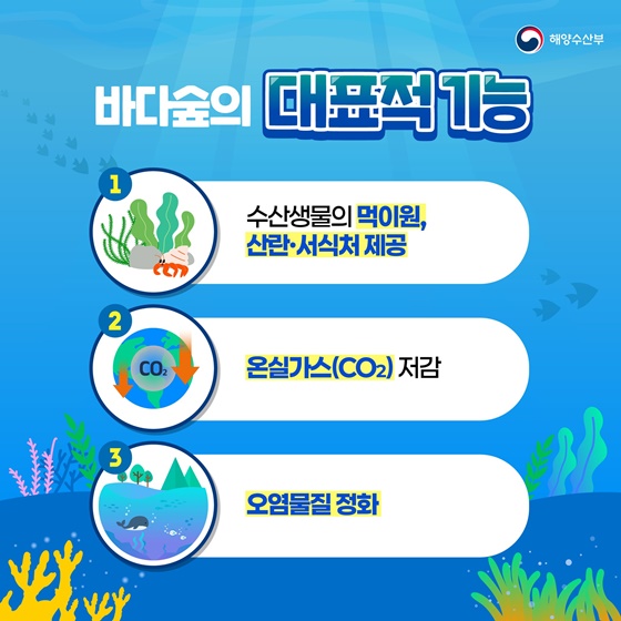 매년 5월 10일은 바다식목일