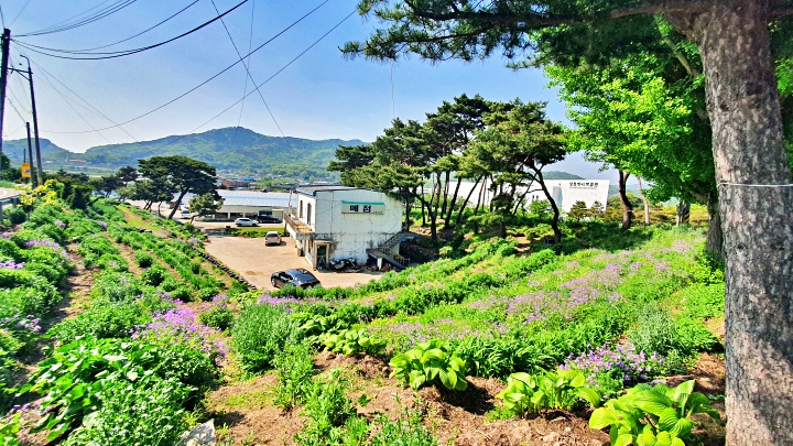 울타리가 없이 자유롭게 드나들 수 있었다