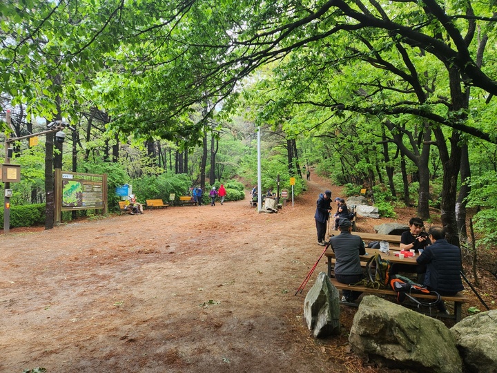 중앙에 위치한 임도오거리