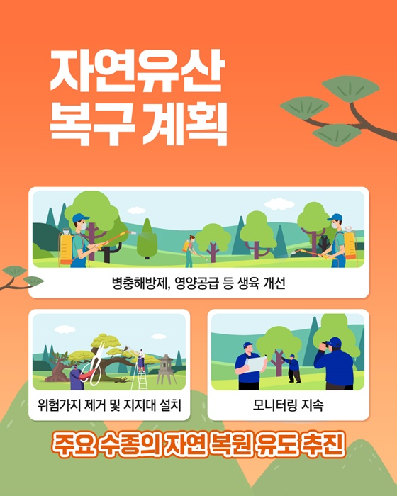 산불 피해 국가유산은 어떻게 되나요?