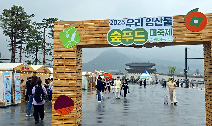 나무로 만든 정문.
