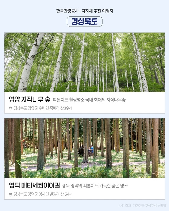 “지역을 살리는 여행, 마음을 잇는 동행”