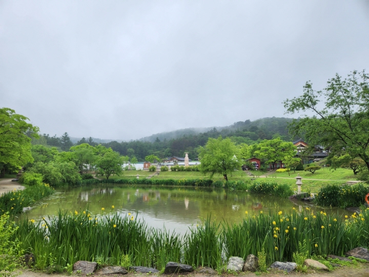 봉선사로 가는 길목에 있는 연못의 풍경