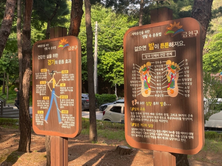 발 건강에 대한 설명이 자세하게 기재되어 있다