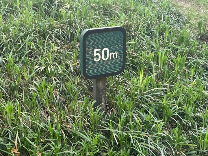 50m 지점에 다다랐을 때 만난 거리안내판