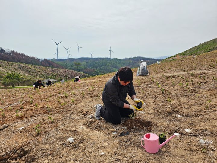 처음 진달래를 심는 것이 쉽지는 않았지만, 활동을 지속할수록 너무 재밌게 느껴졌다. 처음에는 받침대를 제거하지 않아 심었던 진달래를 다시 파야 했지만, 이내 적응되어 심는 속도도 점차 빨라졌다.