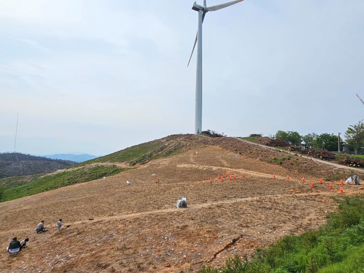 모든 활동을 마치고 돌아가며 영덕의 새로운 관광지로 발돋움할 진달래 동산을 사진에 담아봤다. 지금은 다소 황량하지만, 시간이 지나면 아름다운 진달래꽃이 만개할 것이다.