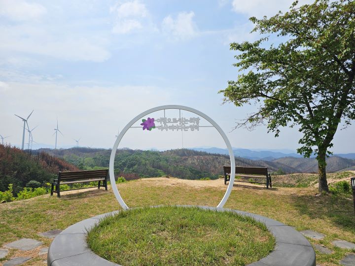 시간이 흘러 다시 아름다워질 영덕에 기대가 많아졌다. 산불 피해를 입은 지역에 대한 최고의 기부는 해당 지역을 찾아주는 것이 아닐까?
