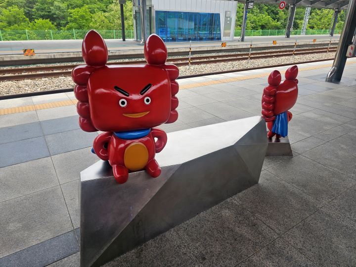 포항역에서 그리 오랜 시간이 지나지 않아 영덕역에 도착했다. 역 내외부는 물론 도시 곳곳에서 영덕의 상징인 대게의 조형물을 마주할 수 있다.