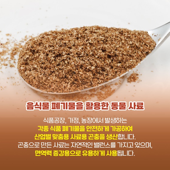 [착한발명] 음식은 남김없이, 푸드 리사이클링