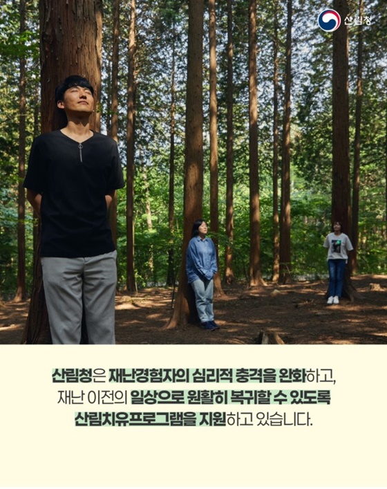 산림치유 마음회복 프로젝트