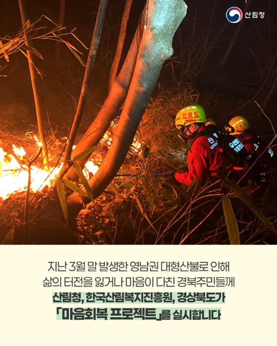 산림치유 마음회복 프로젝트
