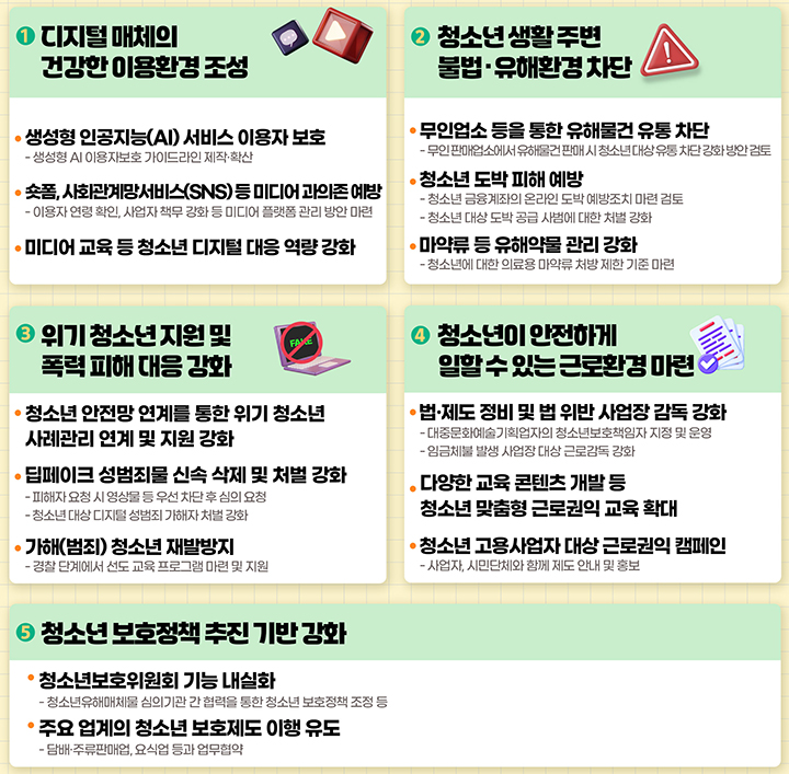 제5차 청소년보호종합대책 인포그래픽 (자세한 내용은 본문에 설명 있음)