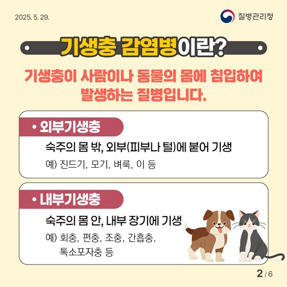 나와 반려동물, 모두의 건강을 위한 기생충 감염병 예방수칙