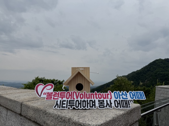 직접 만든 새 먹이집의 모습. '볼런투어 아산 어때! 시티투어하며 봉사 어때!'가 적힌 팻말과 함께 사진을 찍어 보았다.