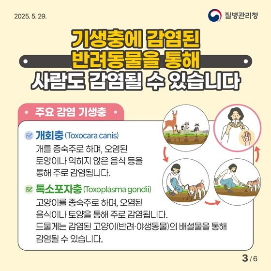 나와 반려동물, 모두의 건강을 위한 기생충 감염병 예방수칙