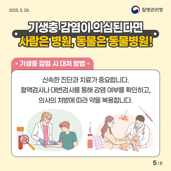 나와 반려동물, 모두의 건강을 위한 기생충 감염병 예방수칙