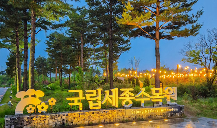 국립세종수목원은 낮과 밤의 분위기가 사뭇 다르다. 눈부시게 빛나는 조명 아래서 특히나 아름다운 식물을 관람할 수 있었다.