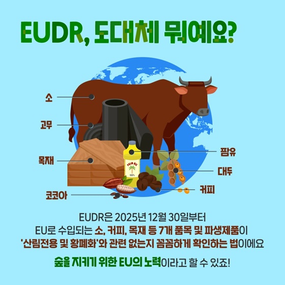 한국=산림전용 저위험국 수출도 안심하세요!
